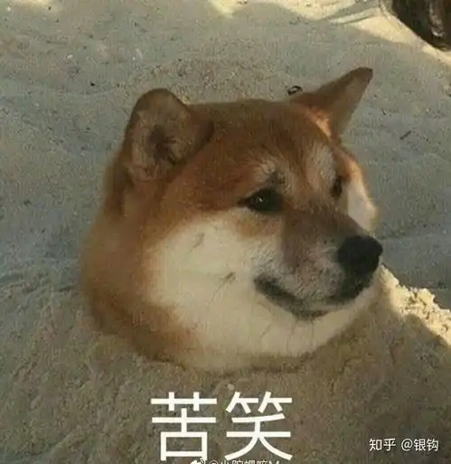 因生病请假体育课被老师说娇气我该怎么做
