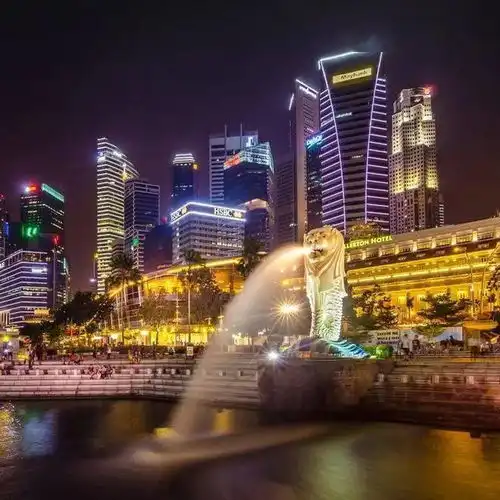 亚洲留学热度飙升上海有哪些国际化学校主打亚洲方向
