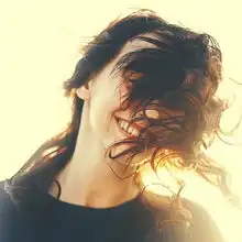 莱茵河边的候鸟
