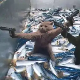 都2018年年末了,我还是没找到一起用猫咪情侣头像的人...
