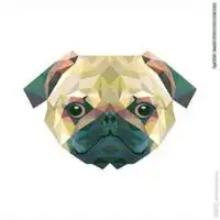 巴哥犬情侣头像微信头像图片大全
