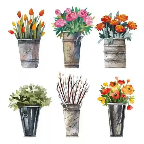 你的房间需要这样一个好看好闻还好吃的小清新盆栽
