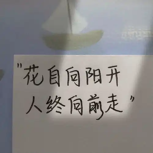 大家有没有什么好的文案配图
