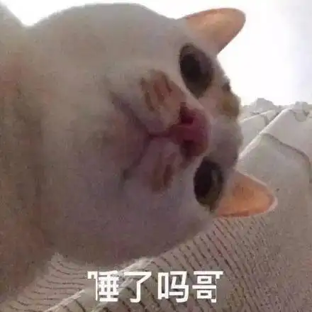 巧了你也没看懂是吗
