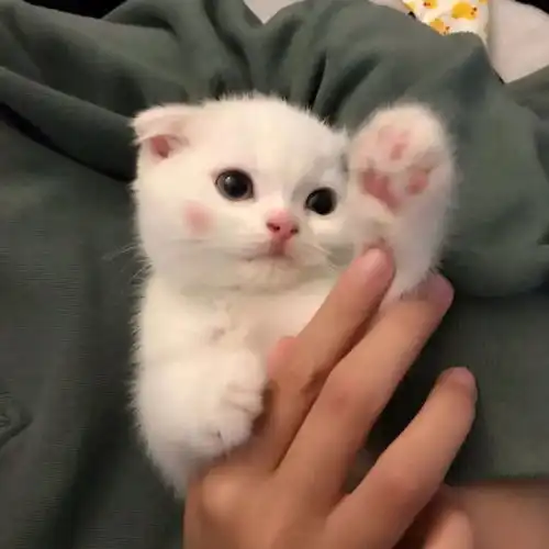 欢欢喜喜给女儿买房,结果却让中年妈妈崩溃,网友太真实
