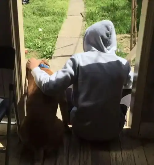 女子去收容所领养狗,结果被一只狗缠上,仔细一看哭死
