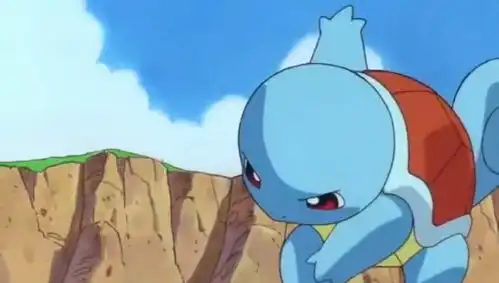 憨憨杰尼龟,快乐每一天动漫可爱宝可梦精灵宝可梦杰尼龟
