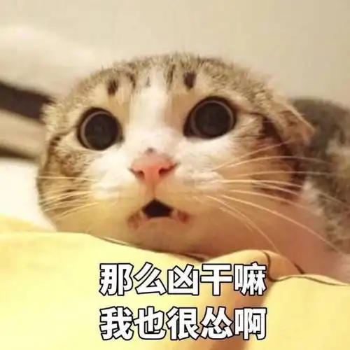 超萌表情包σω
