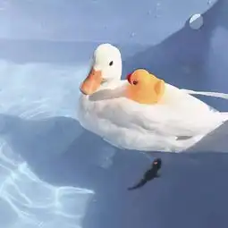 背景图我们有过各种创伤但我们今天应该快活
