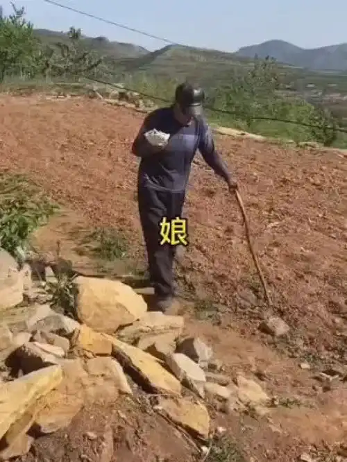 人物随拍农村生活生活随拍农村老人农村男女农村劳作
