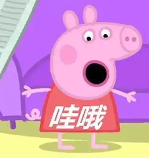 健康讲座闪进社区卫生服务中心
