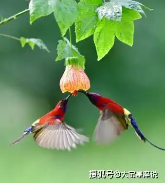 特别招财的属相,时来运转,脚踩聚宝盆,钞票堆满山
