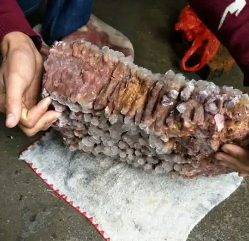 农夫捡到一大堆子弹吓得够呛,清洗后发现透亮鉴定后大喜
