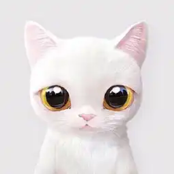 体面一块小饼乾唱吧,听见歌声遇见你
