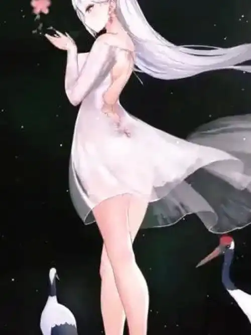 看到你的瞬间,我就决定追随在你左右动画二次元美少女可爱仙气飘飘游戏碧蓝航xian
