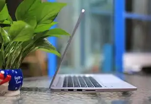 高颜值高品位神舟时尚本不仅漂亮轻薄售价还低
