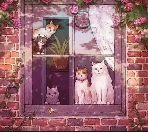 同一个世界同一种舍友
