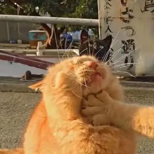 误会大发了防晒隔离和妆前之间的关系竟是...
