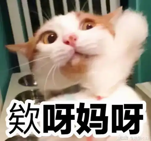 一个天天损你丑说你胖欺负你的人,凭什么说这是爱你
