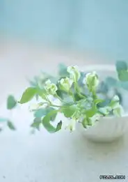 你是我的天使唯美图片6
