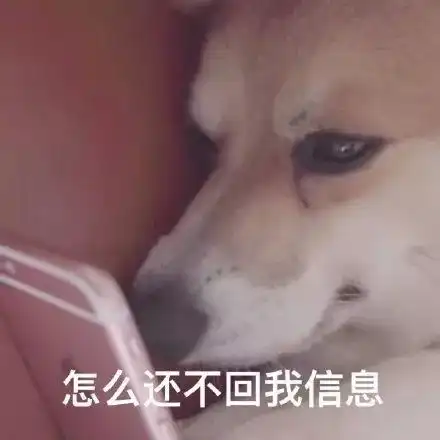 梅花开了双流赏梅地图新鲜出炉,阳光正好,现在就去
