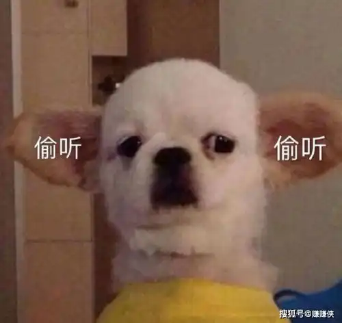 搞笑表情包图片对付躲躲藏藏的人,就用这个图
