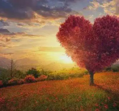 弟弟结婚我掏了五万,老公之后大闹婚礼,隔天我和弟弟都离婚了
