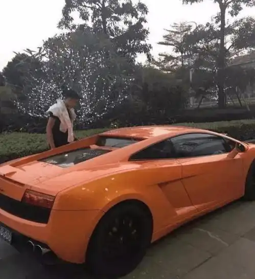 主播界最牛人物,mc天佑买3辆豪车,还差点和赵本山女儿在一起
