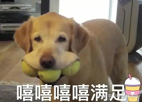 一饭之德,睚眦必报
