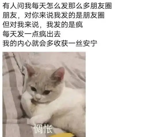 蹲坑可以看的有病沙雕文案
