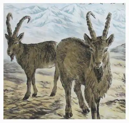 贵人不请自来,下半年不愁没钱花的三大生肖
