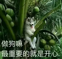 日均最高30c还有暴雨柏塘这些人不能愉快过端午了
