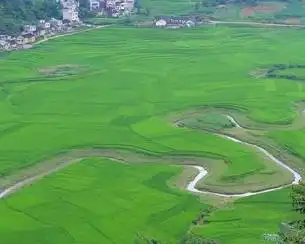 广西巴马长寿村
