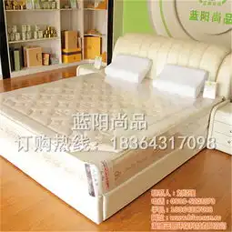 泰安功能床垫蓝阳尚品保健功能床垫高清图片高清大图

