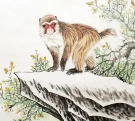 带这3属相的媳妇回家过年,今年全家运势红火,招财入家门

