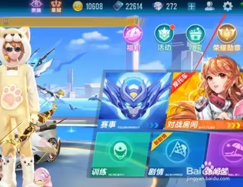 qq飞车手游怎么隐藏贵族等级贵族等级隐藏方法
