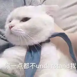 150多张聊天必备表情包大全
