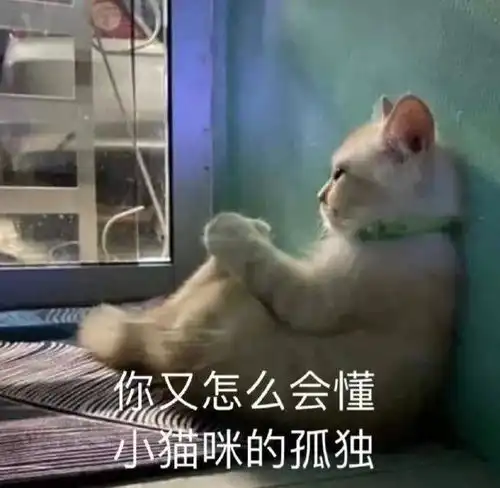 沙雕表情包头像
