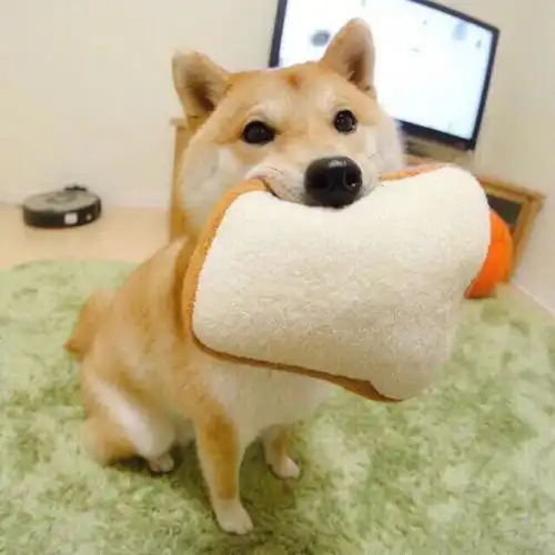 萌宠头像吃到一颗很好吃的糖
