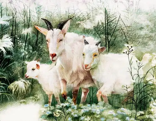 10月到12月坏事不来,好事不少的三大生肖,一举成为有钱人
