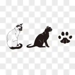 卡通手绘小猫图片素材免费卡通手绘小猫png设计图片大全图精灵
