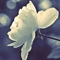 金阳南山里少量房源在售金阳南山里最新动态
