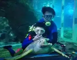 鱼你共眠露营海底,和宝宝一起开启神奇海洋之旅
