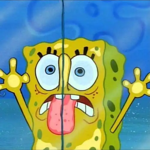 头像是你们的好朋友海绵宝宝
