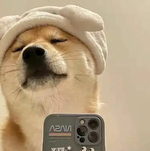 简简单单的小众文案
