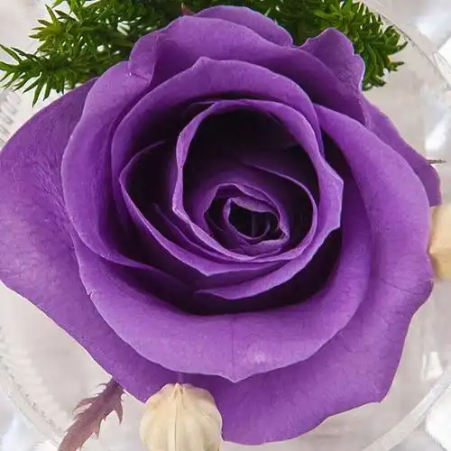 12月下旬,桃花满天飞,良缘天注定,和真爱相约白首的4大星座白羊座狮子座处女双鱼天蝎座网易订阅
