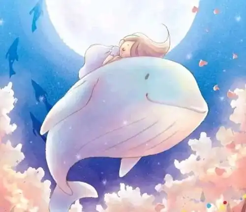一个小女孩的逆袭之旅从来没有到不了的远方
