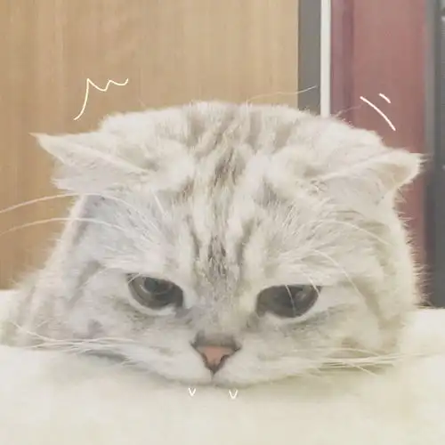 求问怎么用两张卡省话费啊
