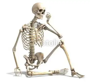 脊柱不正是万病之源转载
