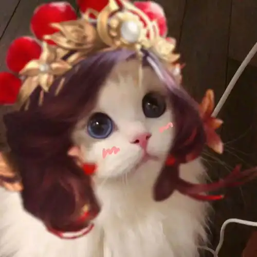 王者荣耀街头猫咪
